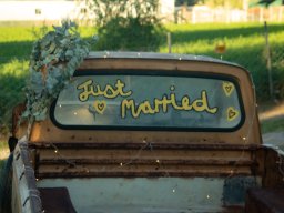 Wedding Pics